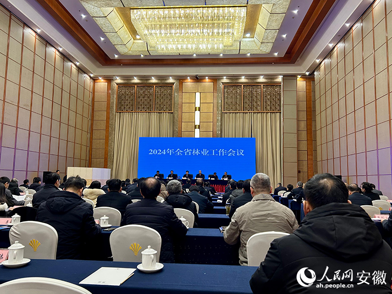 會議現(xiàn)場。人民網(wǎng)記者 高飛躍攝