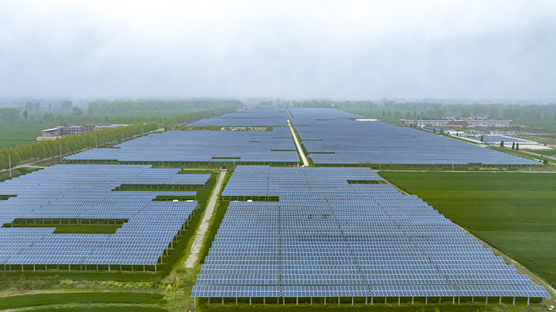 位于渦陽縣臨湖鎮(zhèn)的光伏發(fā)電。渦陽縣委宣傳部供圖.jpg
