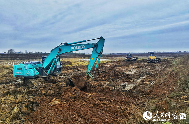 來安縣棗林村正在進行高標準農(nóng)田改造。人民網(wǎng)記者 周坤攝