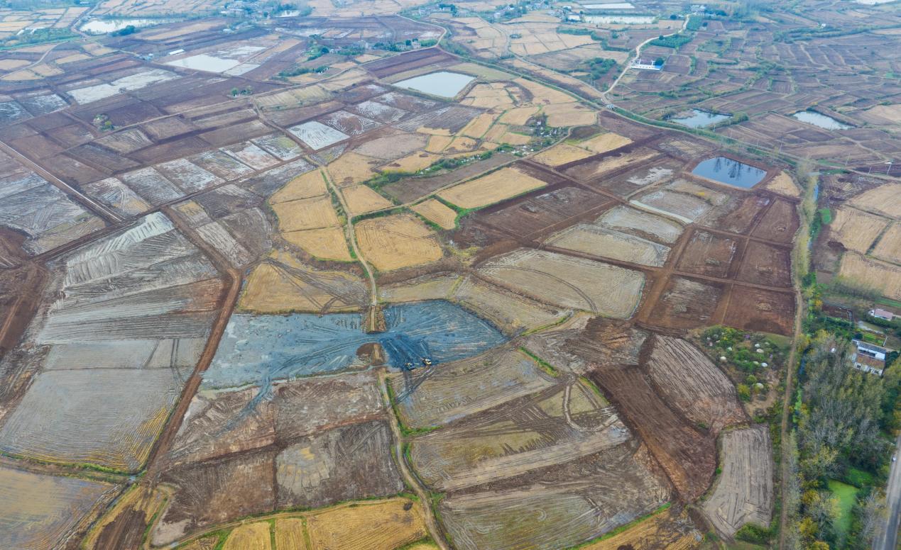 俯瞰棗林村正在建設的高標準農(nóng)田。徐艷攝