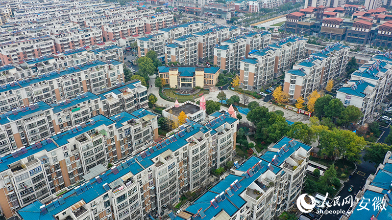 幾株銀杏為小區(qū)平添了幾分初冬韻味和雅致。人民網(wǎng)記者 張俊攝