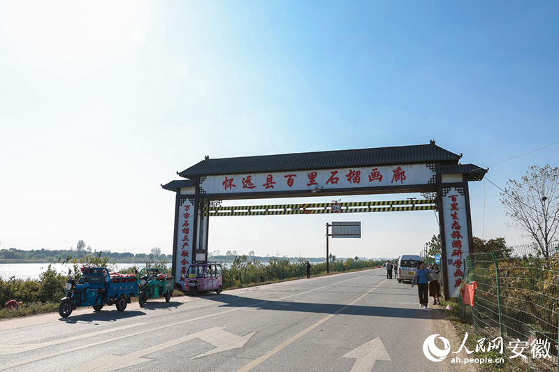 懷遠(yuǎn)縣百里石榴畫廊起點。人民網(wǎng)記者 張俊攝